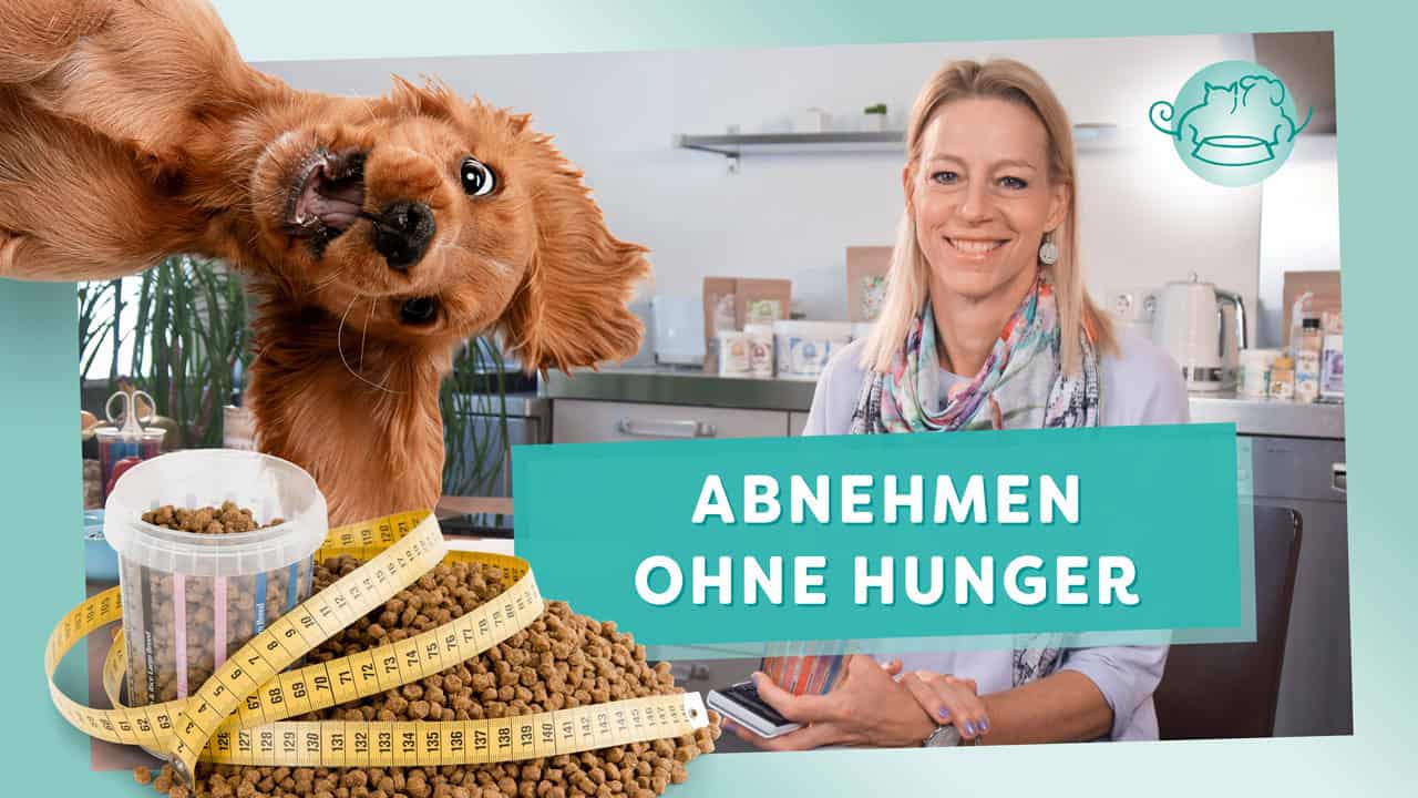 YouTube_Abnehmen