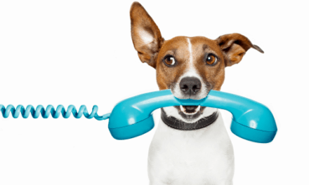 Tierarzt-Telefonsprechstunde