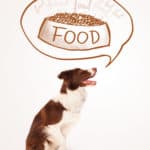Kochrechner für Hunde