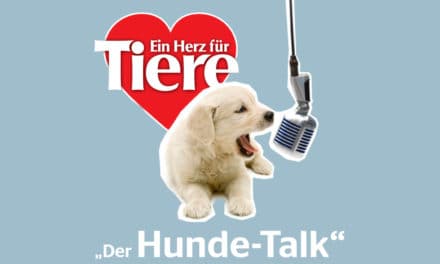 Hunde-Talk – Podcast von ein Herz für Tiere