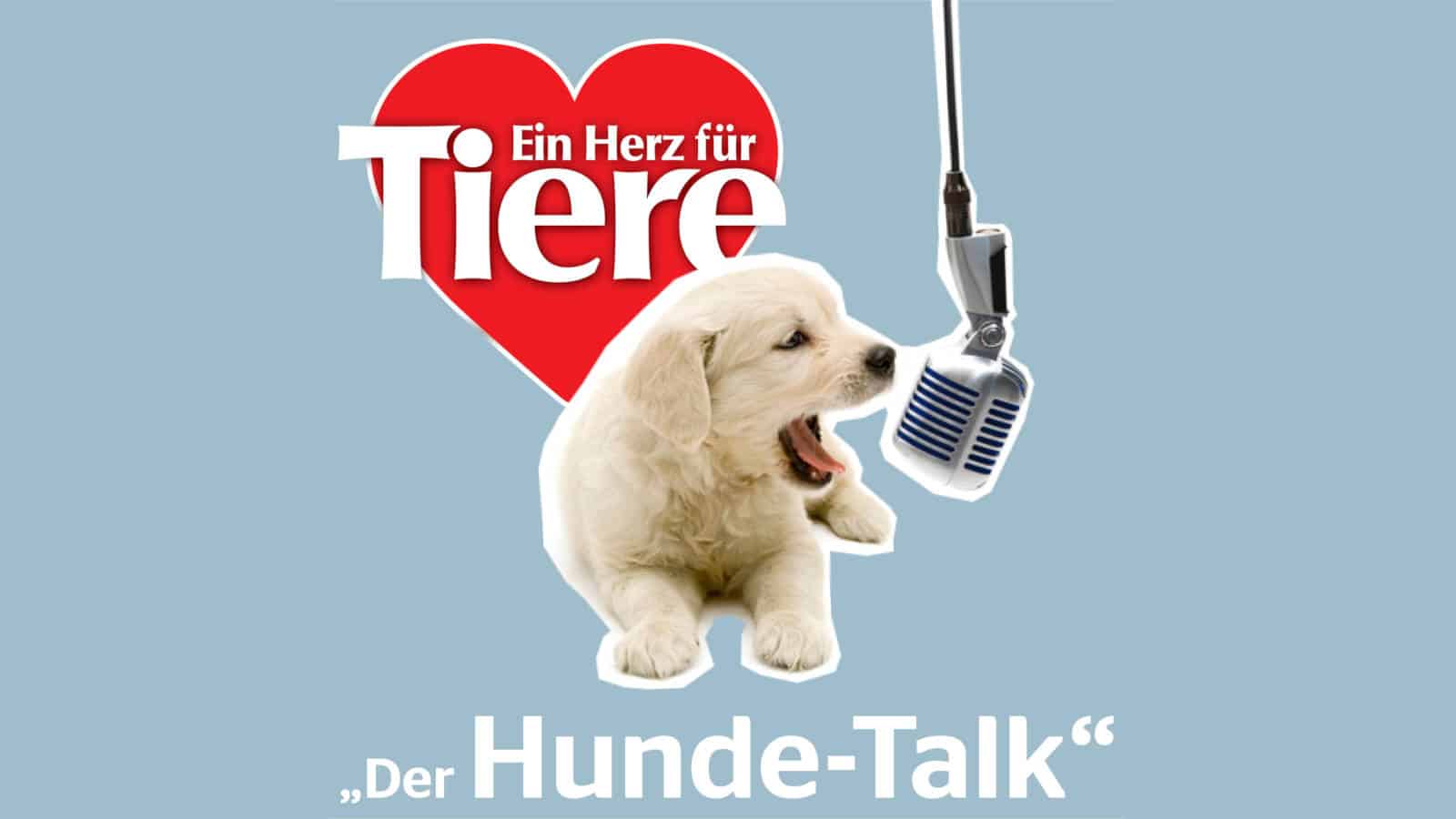 Hunde-Talk - Podcast von ein Herz -
