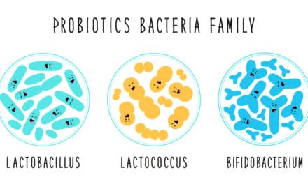 Probiotika