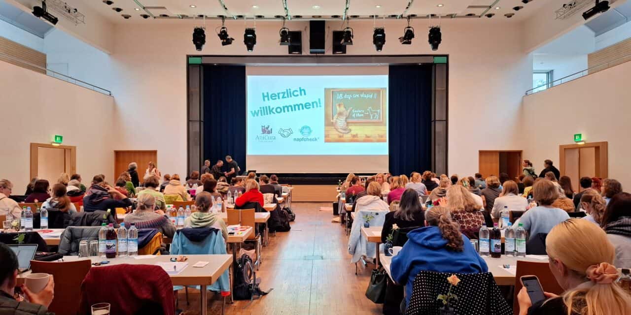 Seminar Rückblick – Die Katze im Fokus – Oktober 2025