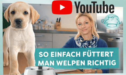 napfcheck-YouTube Serie zur Hundeernährung