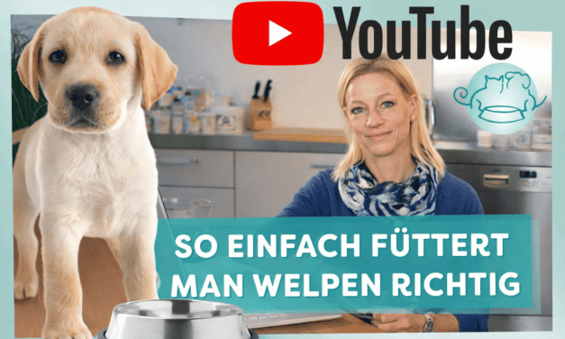 napfcheck-YouTube Serie zur Hundeernährung