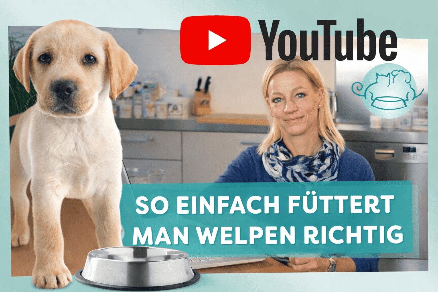 hunde-fuetterung-youtube